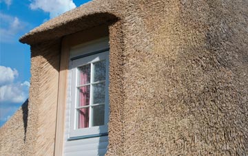 Selling thatch roof disadvantages